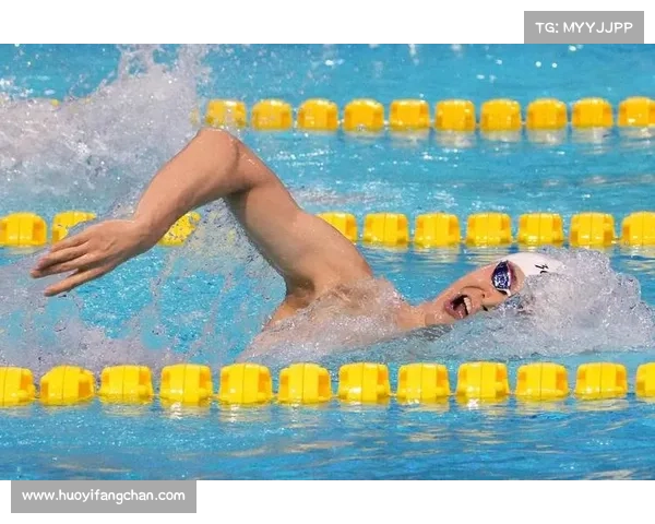 2018世界游泳冠军比赛视频