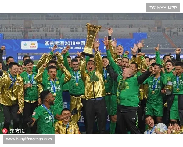 2018国安赛事-国安2017